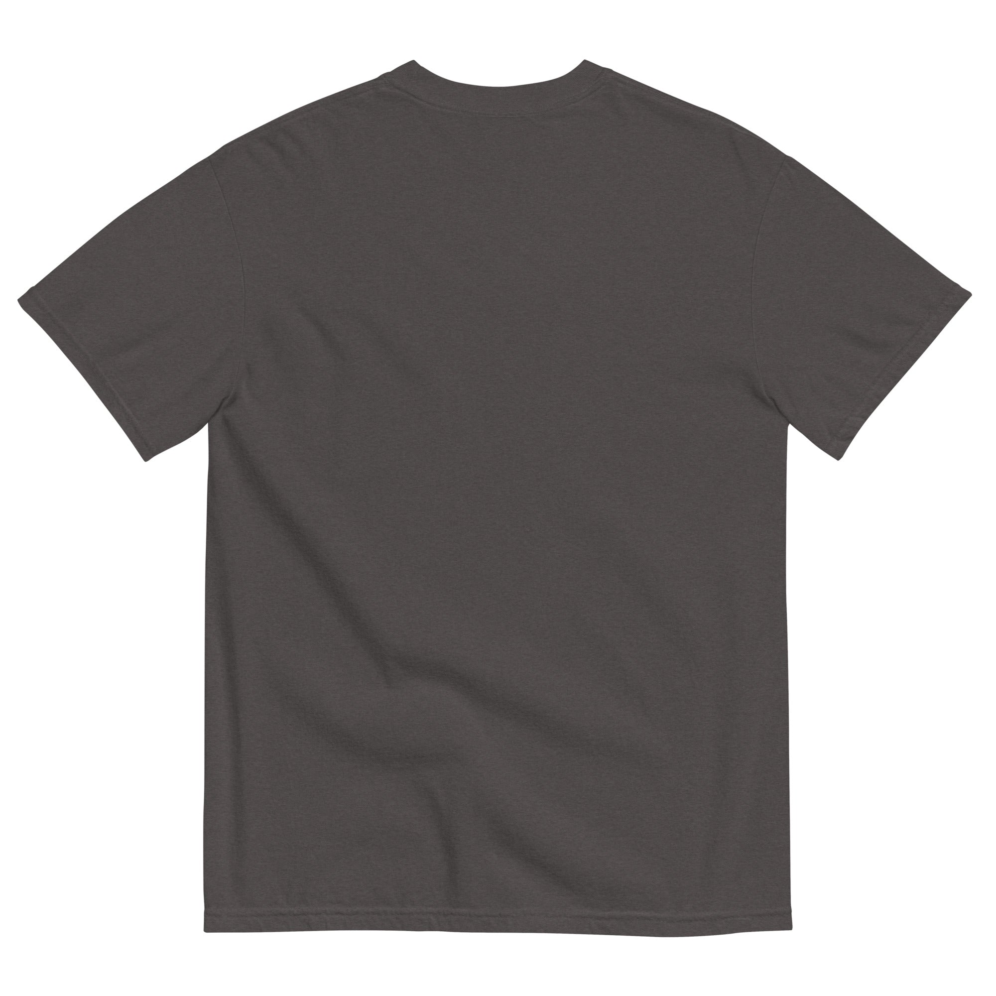 Back view of graphite Peanut Tank Tee showing no back print