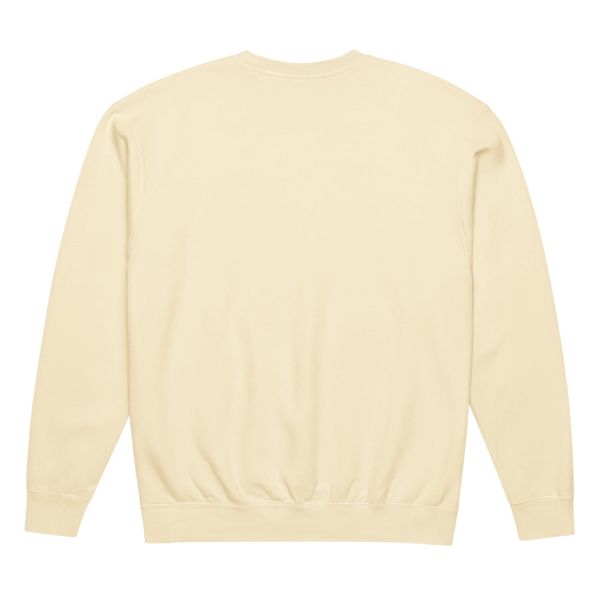 Back view of ivory Ratbag Moto Distressed Crewneck Sweatshirt showing no back print